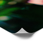 ピンクのカニのリンゴの花 ポスター (角)