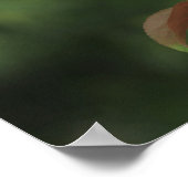 ピンクのカニのリンゴ花キャンバスまたはポスター ポスター (角)