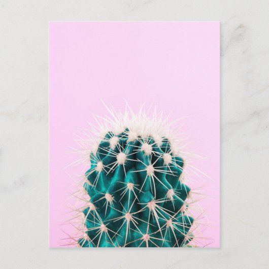 ピンクのカボテン ポストカード (正面)