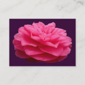 ピンクのカメリア3 – 濃い紫 名刺 (裏面)