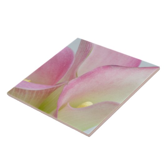 ピンクのカラユリ タイル (側面)