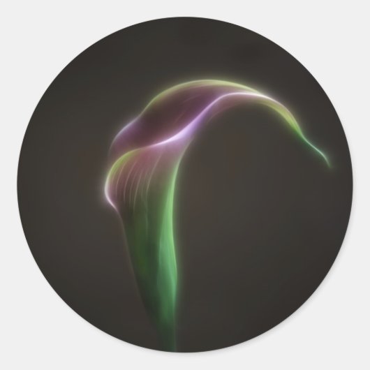 ピンクのカラユリ ラウンドシール (正面)