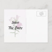 ピンクのカンタベリー ベル 案内ポストカード (裏面)