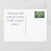 ピンクのカーネーションとデイジー シーズンポストカード (裏面)