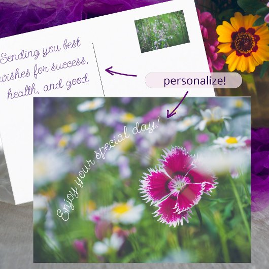 ピンクのカーネーションとデイジー シーズンポストカード