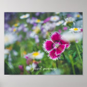 ピンクのカーネーションとデイジー ポスター (正面)