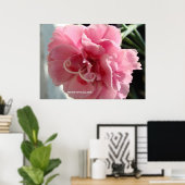 ピンクのカーネーションのクローズアップ ポスター (ホームオフィス)