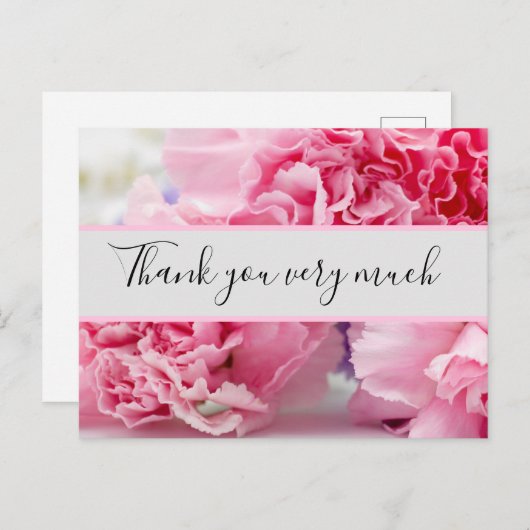 ピンクのカーネーションの背感謝してい景を表示 ポストカード (正面/裏面)