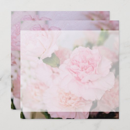 ピンクのカーネーションの花すべてパーティー空白の招待状 招待状 (正面/裏面)