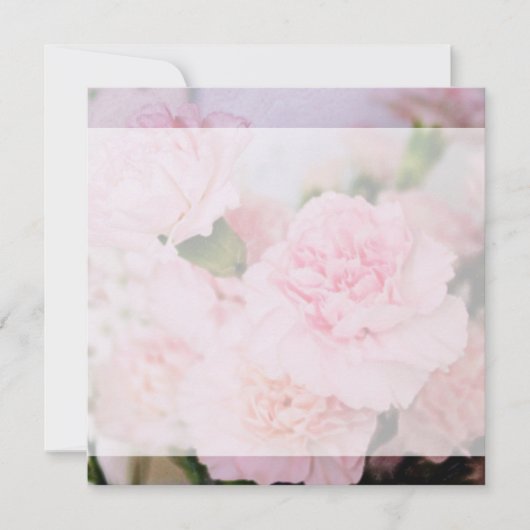 ピンクのカーネーションの花すべてパーティー空白の招待状 招待状 (正面)