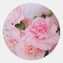 ピンクのカーネーションの花 ビンテージスタイルの写真