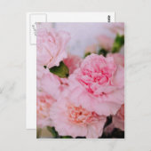 ピンクのカーネーション花ヴィンテージスタイル写真 ポストカード (正面/裏面)