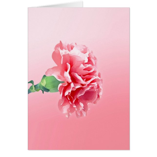 ピンクのカーネーション (正面)