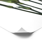 ピンクのカーネーション フォトプリント (角)