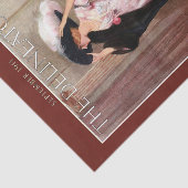 ピンクのガウンのヴィンテージの   Edwardianの魅力的な女性 薄葉紙 (詳細)