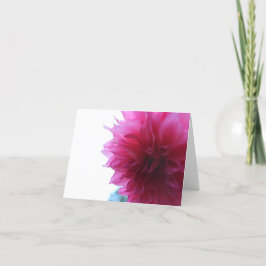 ピンクのガーデンダリア シーズンカード