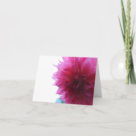 ピンクのガーデン ダリア シーズンカード (正面)