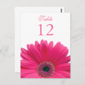 ピンクのガーベラのデイジーのテーブル数カード ポストカード (正面/裏面)