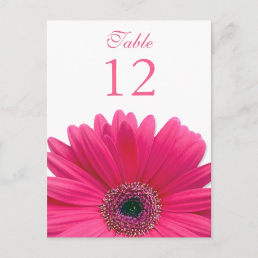 ピンクのガーベラのデイジーのテーブル数カード ポストカード (正面)