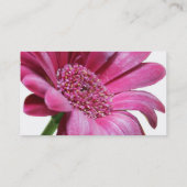 ピンクのガーベラのデイジーの名刺 名刺 (裏面)