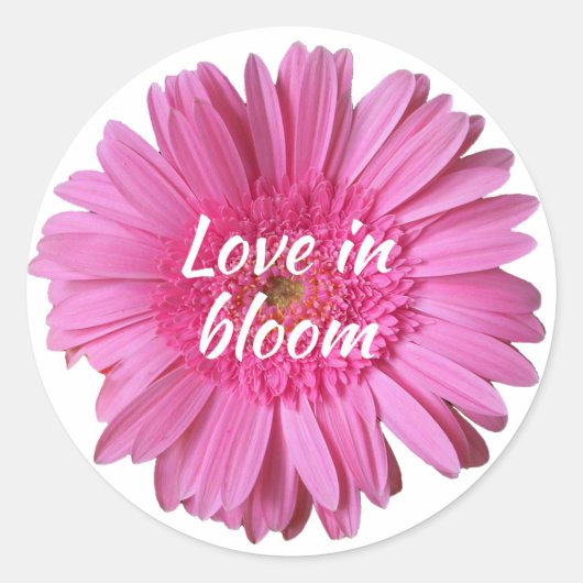 ピンクのガーベラデイジーと文字シール ラウンドシール (正面)