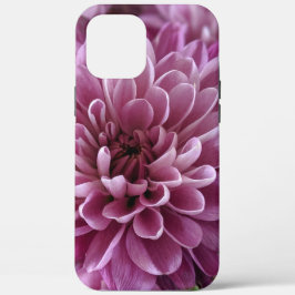 ピンクのキクの花の写真デザイン iPhone 12 PRO MAX ケース