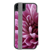 ピンクのキクの花の写真デザイン INCIPIO iPhoneウォレットケース (フォリオ裏面)
