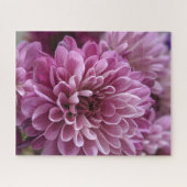 ピンクのキクの花の写真 ジグソーパズル (横)