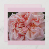 ピンクのキャベツバラヴィンテージ花フローラフラットカード (正面/裏面)
