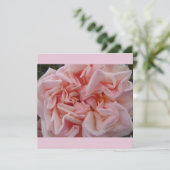 ピンクのキャベツバラヴィンテージ花フローラフラットカード (スタンド正面)