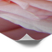 ピンクのキャベツバラヴィンテージ花フローラポスター ポスター (角)