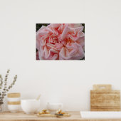 ピンクのキャベツバラヴィンテージ花フローラポスター ポスター (キッチン)