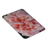 ピンクのキャベツバラヴィンテージ花誕生日カード マグネット (右側)