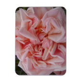 ピンクのキャベツバラヴィンテージ花誕生日カード マグネット (縦)