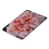 ピンクのキャベツバラヴィンテージ花誕生日カード マグネット (左側)