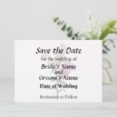 ピンクのキャンタベリー ベル セーブザデート (スタンド正面)