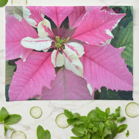 ピンクのクリスマスのポインセチアによっては台所タオルが開花します キッチンタオル (折り畳み)