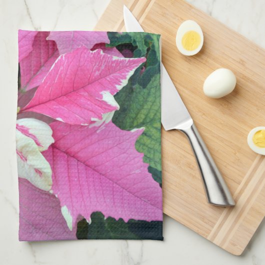 ピンクのクリスマスのポインセチアによっては台所タオルが開花します キッチンタオル (四つ折り)