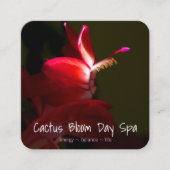 ピンクのクリスマスサボテンの花の写真のアポイントメント 予約カード (正面)