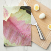 ピンクのクリーム色のポインセチア キッチンタオル (四つ折り)