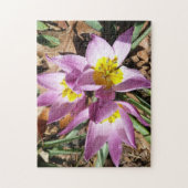ピンクのクロッカス 春の花 ジグソーパズル (縦)