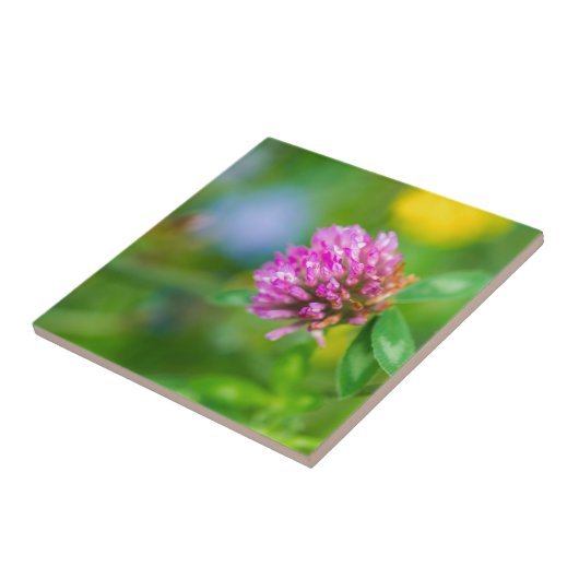 ピンクのクローバー タイル (側面)