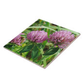 ピンクのクローバー - トリフォリウム・プラテンセ タイル (側面)