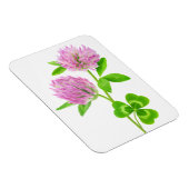 ピンクのクローバー マグネット (右側)