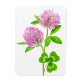 ピンクのクローバー マグネット