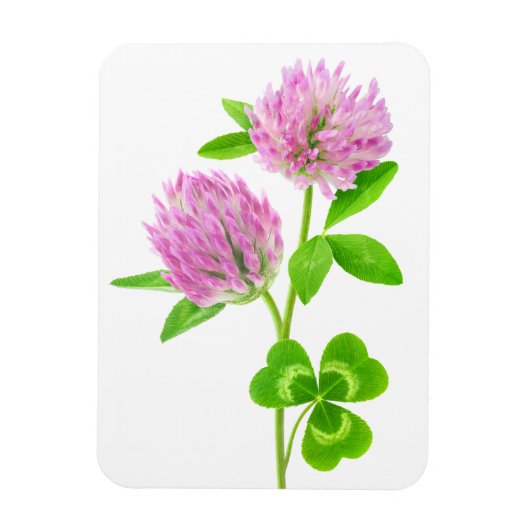 ピンクのクローバー マグネット (縦)
