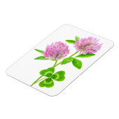 ピンクのクローバー マグネット (左側)