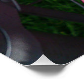 ピンクのグラジオラフラワーパーフェクトポスター ポスター (コーナー)