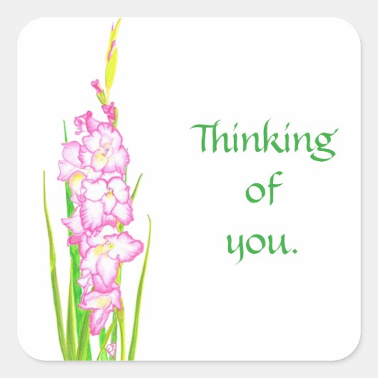 ピンクのグラディオ考えラの花のシール スクエアシール (正面)