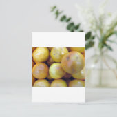 ピンクのグレープフルーツ ポストカード (スタンド正面)